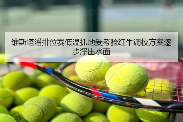 维斯塔潘排位赛低温抓地受考验红牛调校方案逐步浮出水面